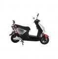  Forte RANGER -
